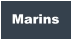 Marins